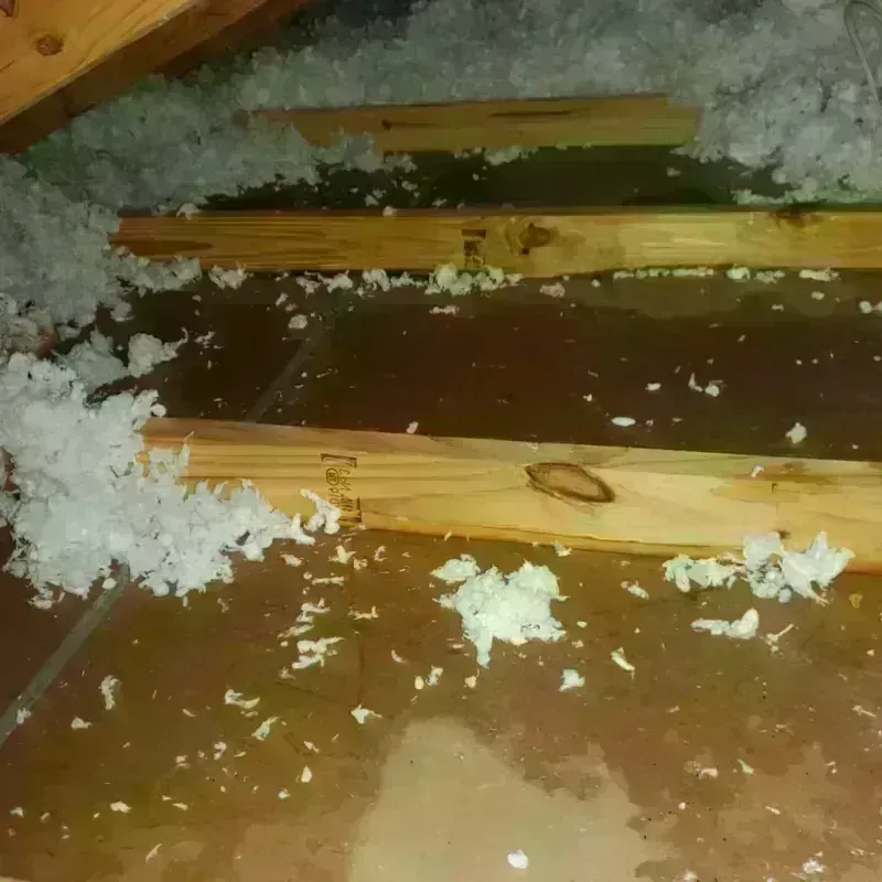 Attic Water Damage in Page County, IA